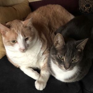 Meet your Posher, Heather